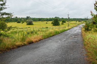 Bulutlu bir yaz gününde işaretsiz asfalt kırsal bir yol. Yol boyunca kabloları olan beton sütunlar. Çayır ve ağaçlar