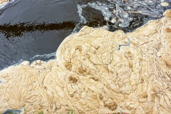 Yellow dirty foam on the surface of the water in the river