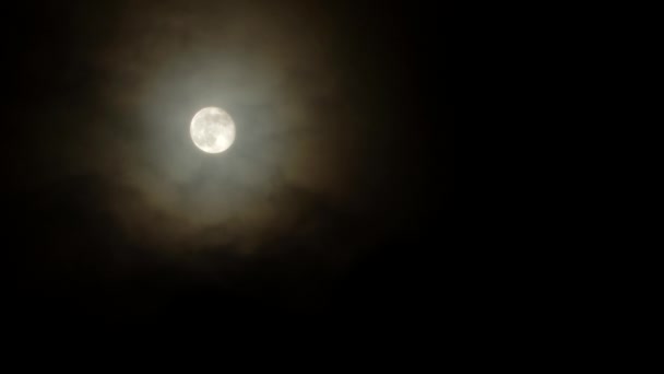满月在一个阴沉沉的夜晚 五彩斑斓的云彩在月亮前的天空中飘扬 日冕光学现象 由单个小水滴 有时是云中微小的冰晶在月光下衍射而产生的光学现象 — 图库视频影像
