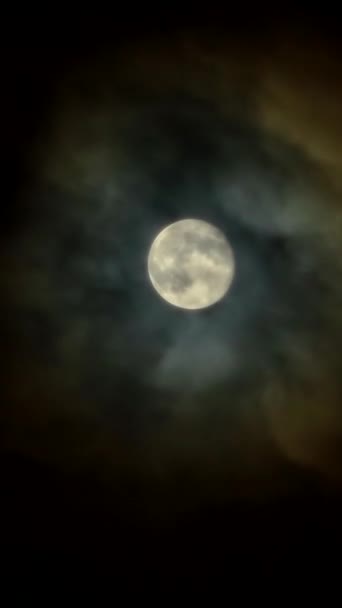Volle Maan Aan Donkere Nachtelijke Hemel Maan Corona Een Lichtoptisch — Stockvideo