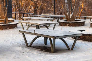 Şehir parkında kış günü ağaçlı bir masa tenisi.