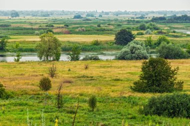 Resimli nehir vadisi, çayırları ve ağaçları olan doğa ormanı bozkırı.