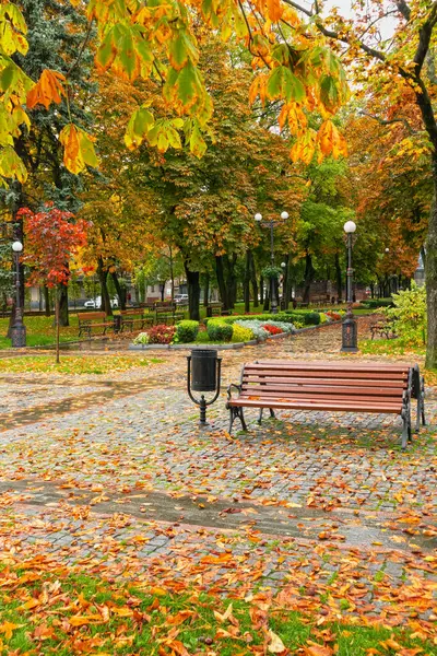 Sonbaharda ağaçlardan ve boş banklardan dökülen sarı yapraklarla dolu bir parkta sokaklar.