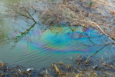 Nehirdeki yüzey suyu üzerindeki renkli bir film, petrol veya benzinle oluşan kirliliğin bir sonucudur. Ekolojik felaket. Çevre kirliliği sorunu