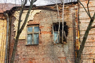 Penceresinde ağaç büyüyen eski bir binanın tuğla duvar cephesi. Terk edilmiş bina