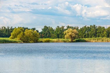 Gölün kıyısındaki yaprak döken ağaçlar, kırsal alanlar.