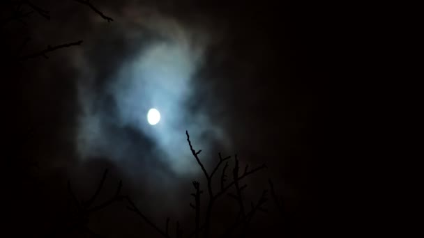 Luna Circondata Nuvole Una Notte Buia Nuvolosa Silhouette Rami Albero — Video Stock