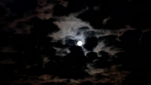 Cielo Serale Nuvoloso Con Nuvole Nere Luna Piena Paesaggio Notturno — Video Stock