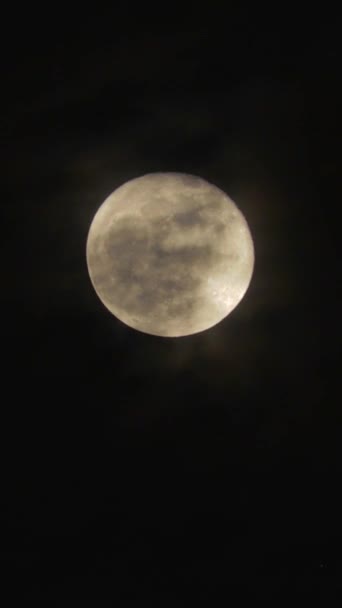 Pełnia Księżyca Ciemnym Nocnym Niebie Czarnymi Latającymi Chmurami Prawdziwe Ujęcia — Wideo stockowe