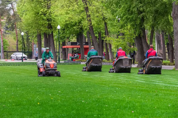 Kharkiv şehri, Ukrayna - 18 Nisan 2024: Bir şehir parkındaki çimleri biçmek. Traktör çim biçme makinesinde erkek işçiler