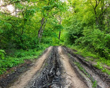 Yaprak döken bir ormanda, kamyon lastiklerinin izleri olan kirli bir yol. Sonsuz ya da yaz günlerinde sık bir orman