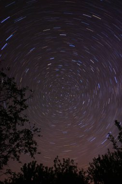 Kuzey Kutbu ve Polaris 'in etrafındaki gece gökyüzünde renkli yıldız izleri. Gece manzarası, astrofotoğrafçılık.