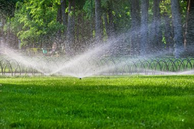 Güneşli bir yaz gününde parkta ya da şehir bahçesinde çimenleri sulamak için otomatik fıskiye sistemi