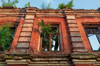 Terk edilmiş kırmızı tuğlalı ev, üzerinde ağaçlar yetişiyor. Çatısız, yıkık dökük bir binanın ön cephesi. Gökyüzü ve camsız ağaçlar