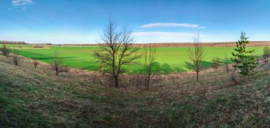 Güneşli bir bahar gününde tepeden zirai yeşil alana panoramik bir manzara. Ukrayna 'nın kırsal bölgelerdeki doğası, kentsel olmayan yerler