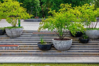 Şehir bahçesindeki bir göletin yakınındaki taş merdiven ve set. Ağaçlar için büyük vazoları olan modern şehir parkı tasarımı. Kharkiv şehri, Ukrayna