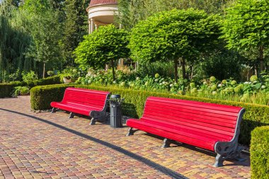 Güzel bir şehir parkında iki boş ahşap bank ya da çiçekli, çalılı ve ağaçlı pitoresk bir bahçe. Yaz güneşli bir gün, kimse yok. Kharkiv şehri, Ukrayna