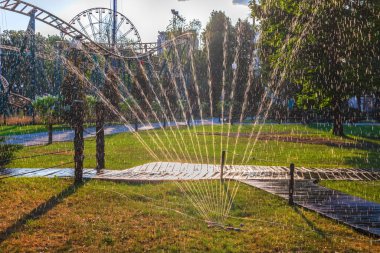 Güneşli bir günde otomatik sulama sisteminden bir parktaki çimlere ya da şehir bahçesine su sıçrıyor.