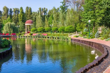 Ukrayna 'nın Harkiv şehrindeki parkta çok güzel bir gölet. Güneşli bir yaz gününde bir çardak ve bahçe tasarımı ile sahilin resimli manzarası