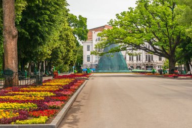 Kharkiv şehri, Ukrayna - 31 Mayıs 2024: çiçek tarlalı ve eski büyük ağaçlı park sokağı. Şehir Bahçesi adını almış. Shevchenko bir yaz günü