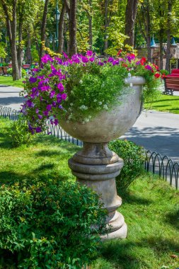 Şehir parkının yakınındaki ara sokakta çiçekli büyük beton bahçe vazosu. Yaz güneşli bir gün