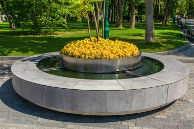 Şehir bahçesinde ya da parkında çiçekli yatağı ve suyu olan modern yuvarlak bank. Kharkiv şehri, Ukrayna. Ağacın etrafında büyük bir bank