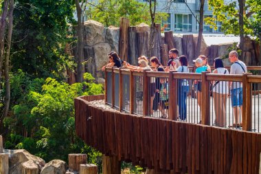 Kharkiv şehri, Ukrayna - 17 Ağustos 2024: İnsanlar korkuluk engelli hayvanları yüksek bir izleme platformundan izliyor. Hayvanat bahçesinde güneşli bir yaz günü