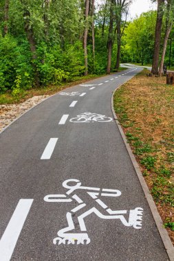 Resimli bir parkta ya da yaprak döken ağaçlarla dolu bir ormanda bisiklet yolu. Bisikletçi ve paten sembolü olan beyaz işaretler.