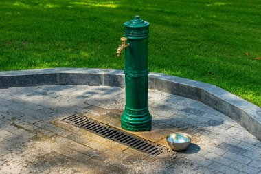 Musluk suyu olan demir yeşil kolon - parkta ya da şehir bahçesinde su kaynağı. Sokaktaki hayvanlar ve köpekler için suyu olan demir tabaklar. Taş kaldırımda çelik kase
