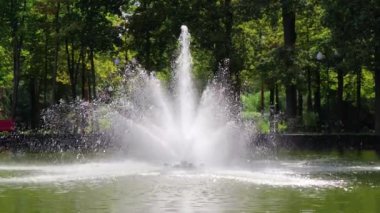 Çeşmeden su fışkırıyor. Şehir parkında yüzen çeşmeli bir gölet.