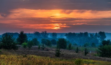 Ormanın üzerinde bulutlarla gün doğumu. Kentsel olmayan güzel bir manzara. Çayırdaki ağaçlar arasında sis veya duman var. Yaz sabahı kırsal doğa