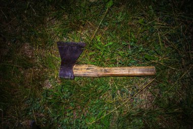 Geceleri çimlerin üzerinde bir balta uzanıyor. Yere eski bir balta atılır..