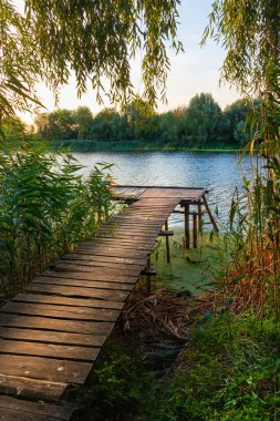 Nehir kıyısında ağaçlar ve bitkiler olan ahşap iskele ve balık tutma yeri. Siverskyi Donets Nehri (Seversky Donetleri)