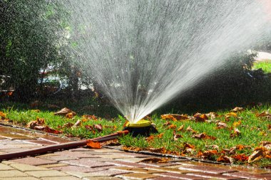 Water splashing from an sprinkler lawn irrigation system on a sunny autumn day clipart