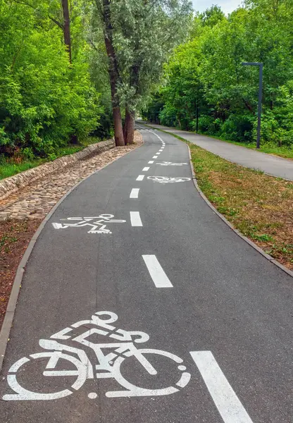 Bisiklet yolu ve parkta yaya yolu. Bir yaz günü. Beyaz işaretli boş bisiklet yolu