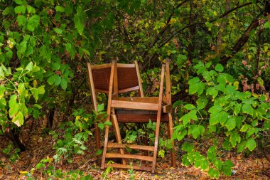 Kırık ahşap sandalyeler ormanda ağaçların altında duruyor. Doğada garip bir yerde mobilyalar.