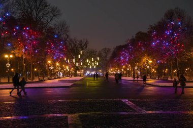 Kharkiv şehri, Ukrayna - 6 Aralık 2024: Park, Yeni Yıl ve Noel tatilleri için renkli aydınlatmalarla süslenmiştir. Kharkiv 'deki Shevchenko' dan sonra akşam bahçesinin geniş asfalt sokakları
