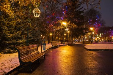 Bir kış akşamında şehir bahçesinde park bankları. Ağaçlar dallarında renkli ışıklarla süslenir.