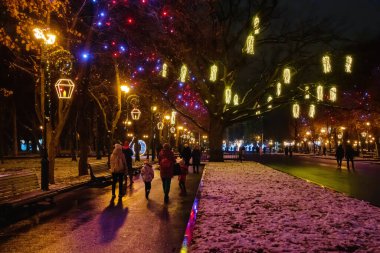 Şehir bahçesi yeni yıl ve Noel tatilleri için renkli ışık ile süslenmiştir. Akşam parkının ara sokaklarında. Kharkiv Şehri, Ukrayna - 9 Aralık 2024
