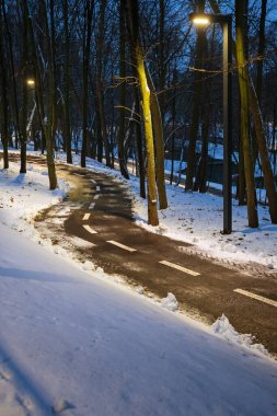 Karlı bir şehir bahçesinde sokak lambalarıyla aydınlatılmış bir bisiklet yolu. Parkta beyaz lekeli bisiklet yolu, kış akşamı.