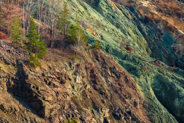 Farklı renkte kaya ve mineralleri olan bir eğim. Ağaçlarla kaplı eski bir taş ocağının yamacında.