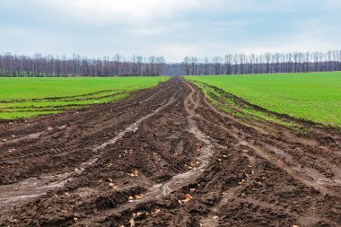 Ziraat alanında çok çamurlu bir yol. Kırsal bir yolda yağmur ve çamur üstüne ıslak toprak.