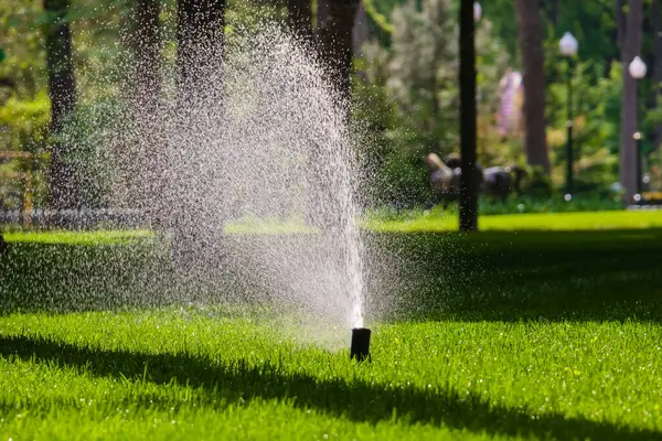 Çimleri sulamak için sulama fıskiyesi. Parktaki ya da bahçedeki yeşil çimlerin üzerinde uçan su damlaları. Sıcak yaz güneşli gün