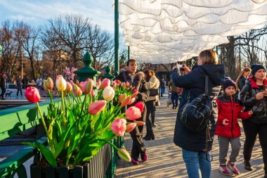 Kharkiv şehri, Ukrayna - 7 Mart 2025: İnsanlar yapay lalelerle süslenmiş bir şehir bahçesinde yürüyor. Sanat süslemeleri ve çiçekler bahar havası yaratır.