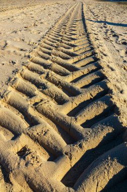 Güneşli bir günde kumun üzerinde büyük bir traktör ya da kamyon tekerleği izi. Plajdaki lastik izlerinden kalan izler.