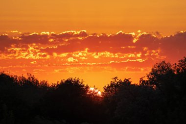 Sarı ve turuncu bulutlu gün batımı. Güneş yaprak döken bir ormanın arkasında saklanıyor. Kentsel olmayan manzara manzarası