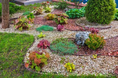 Küçük taşlarla samanlanmış güzel bahçe tasarımı. Çeşit çeşit bitki ve çalılarla modern güzel çiçek tarhı, çakıl gübresi