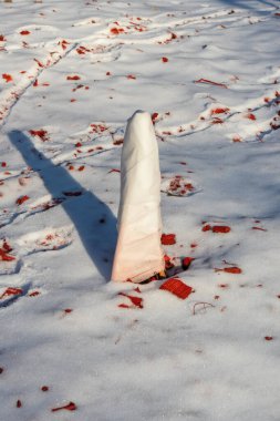 Bitkiler bahçıvanlık fiberiyle (agrotextile) kaplı soğuk ve kardan korunurlar. Parktaki ya da bahçedeki bitkileri kışın güneş ışığından korumak.