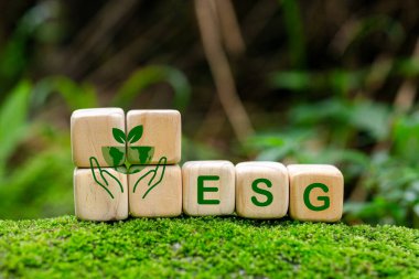 ESG, çevre toplumu ve yönetim odun küpleri enerji ve çevre ağı hedeflerinde sürdürülebilirlik ve etik bırakırlar