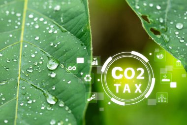 Karbondioksit vergisi kavramını gösteren su damlacıklarıyla yemyeşil yaprakların yakın çekimi, doğa ve çevre politikaları arasındaki bağlantıyı vurguluyor.